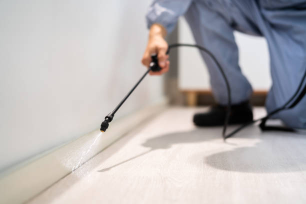 Bed Bug Pre-Treatment Preparation Assessment in Waynesville