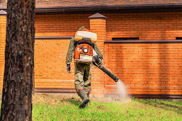 Bed Bug Clearance Verification and Documentation in Waynesville